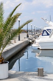Photo of Beautiful view of city pier with moored boats and palm on sunny day