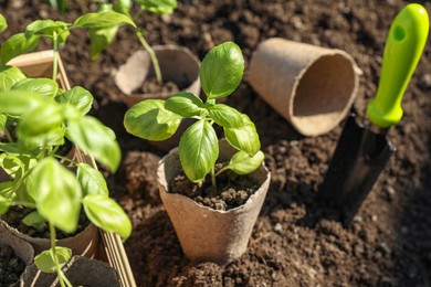 Photo of Beautiful seedlings in peat pots on soil outdoors