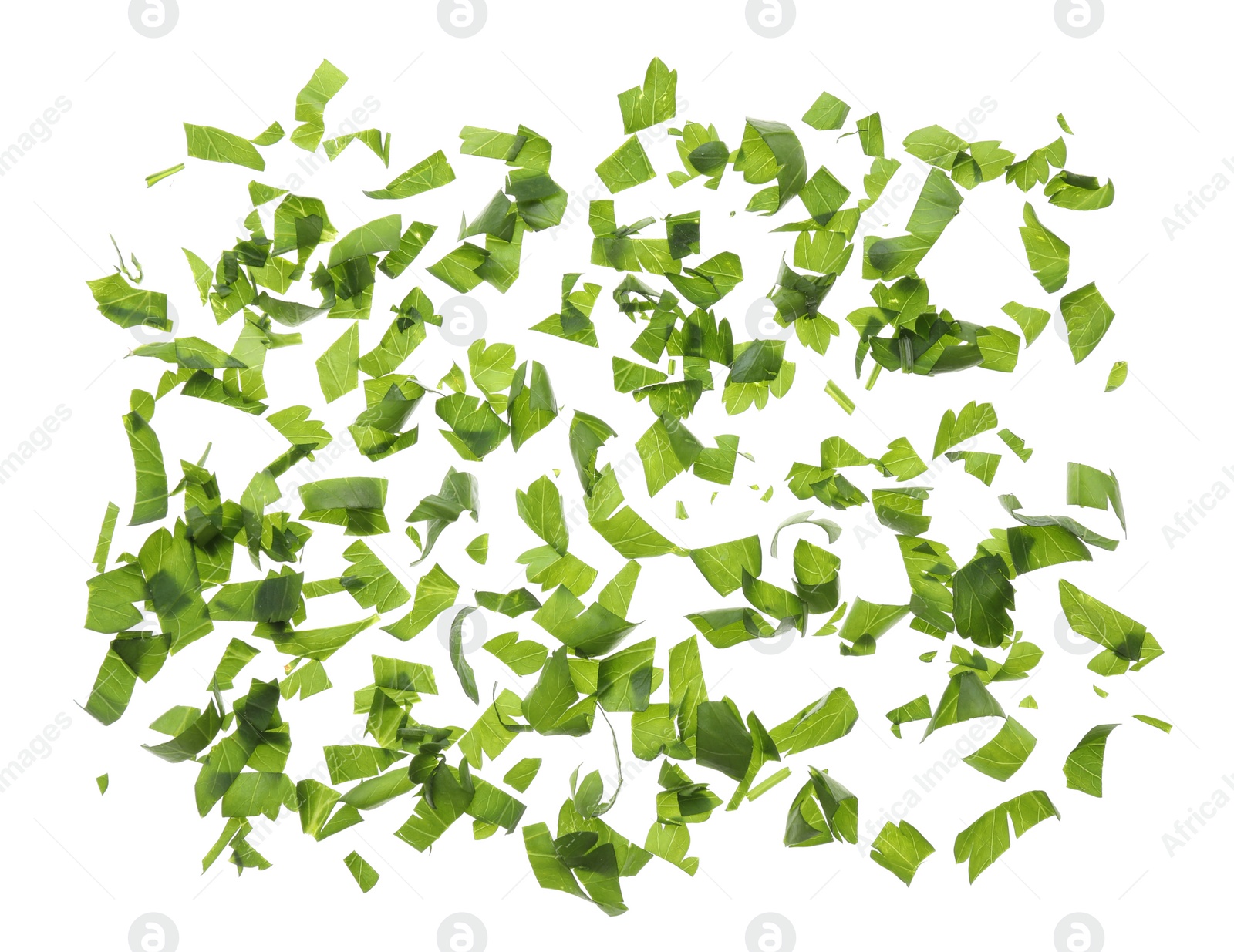 Photo of Cut fresh green parsley on white background