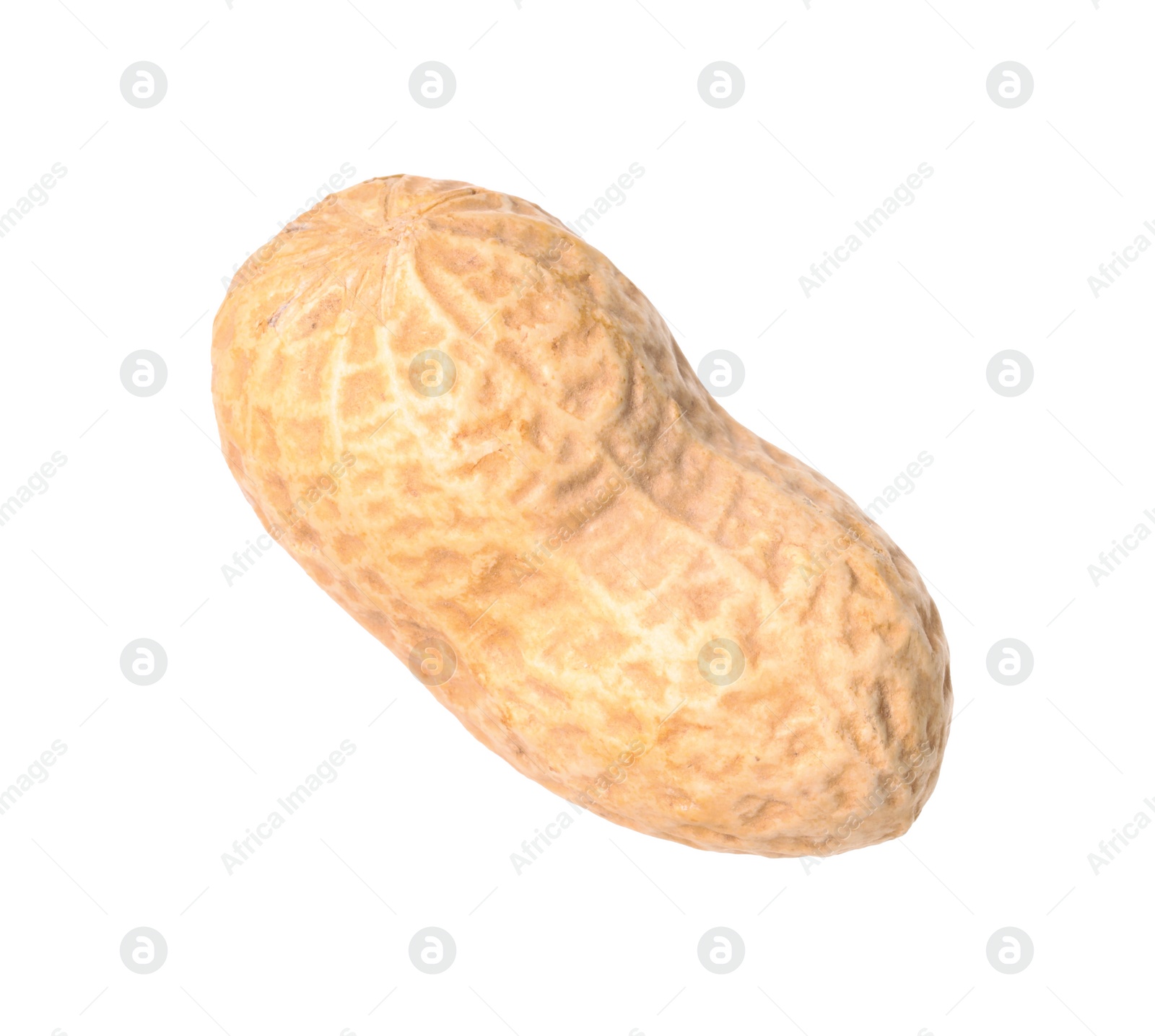 Photo of One fresh unpeeled peanut isolated on white