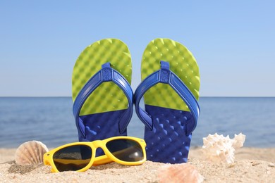 Stylish flip flops, sunglasses and seashells on sandy beach