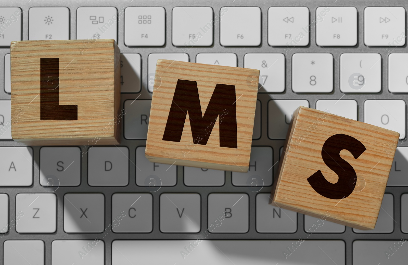 Image of Learning management system. Wooden cubes with abbreviation LMS on computer keyboard, top view