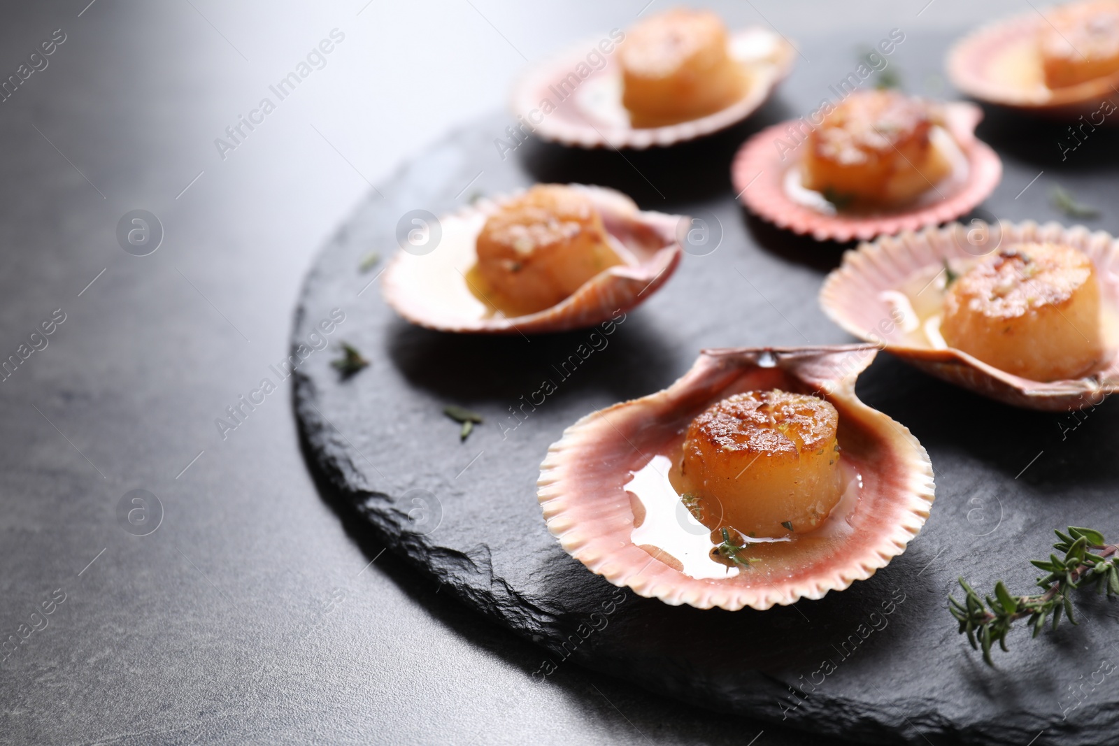 Photo of Delicious fried scallops in shells on grey table, closeup