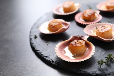 Delicious fried scallops in shells on grey table, closeup