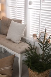 Beautiful room interior decorated for Christmas with potted fir