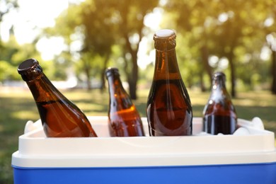 Photo of Blue plastic cool box with bottles of beer in park, closeup
