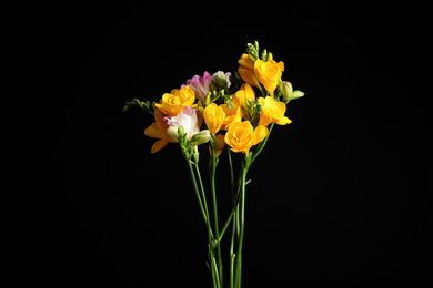 Photo of Bouquet of beautiful freesia flowers on black background