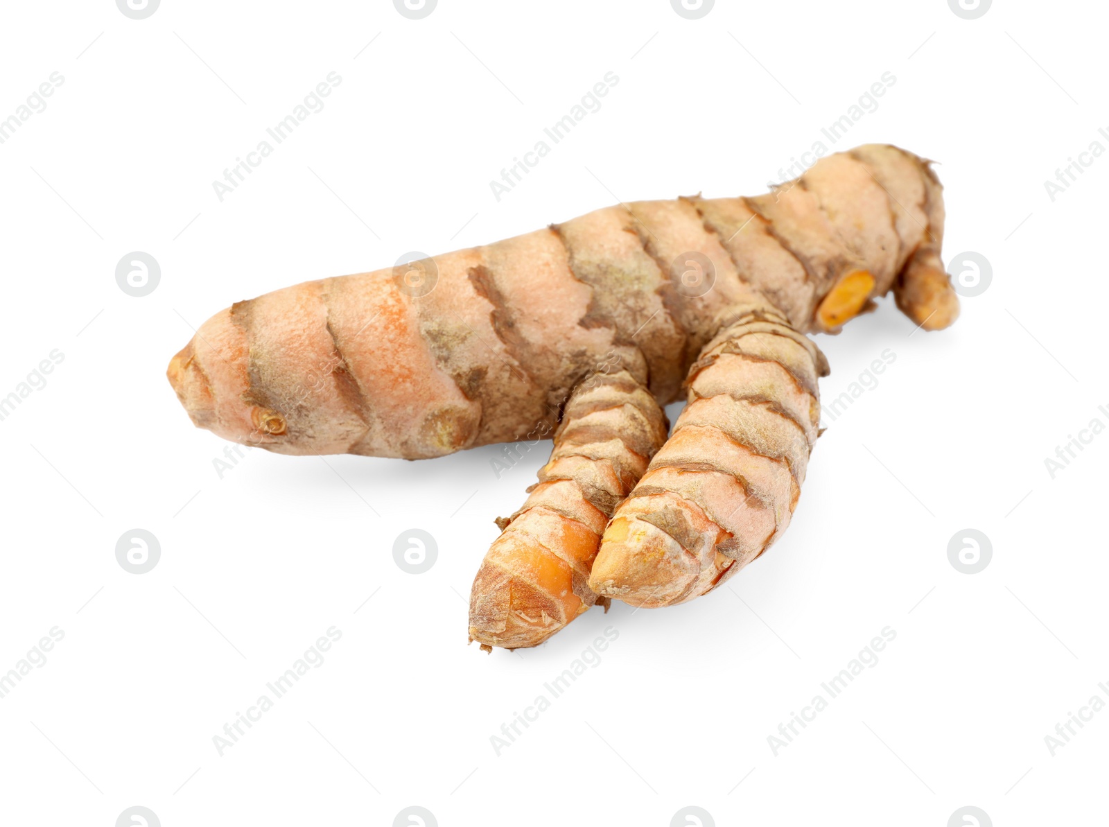 Photo of One fresh turmeric root isolated on white