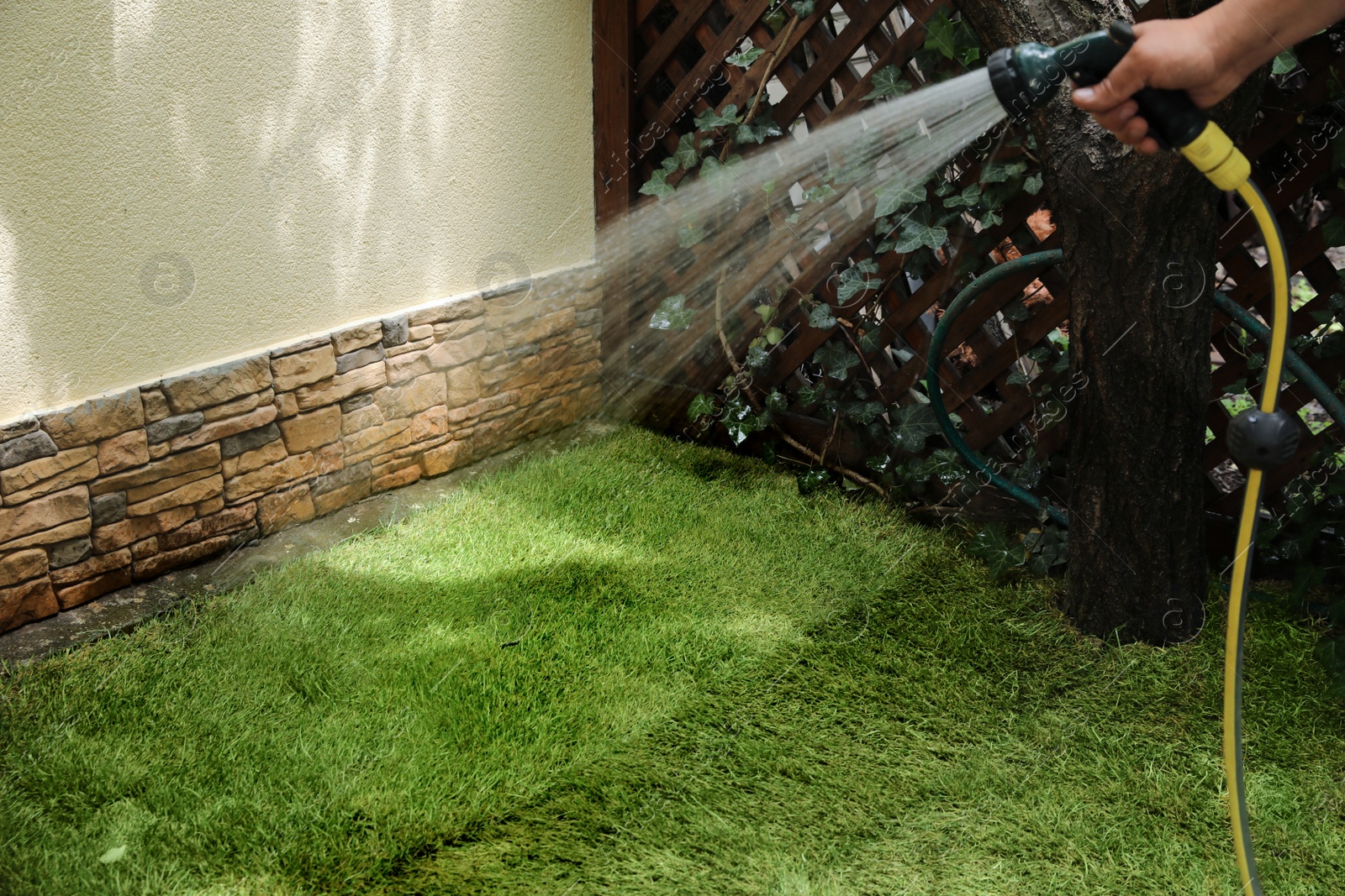 Photo of Man watering unrolled grass sods at backyard, closeup