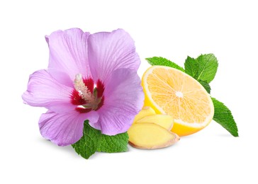 Image of Beautiful hibiscus flower, juicy ripe lemon, ginger and mint on white background