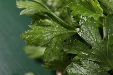 Photo of Fresh green parsley leaves with water drops on blurred background, closeup