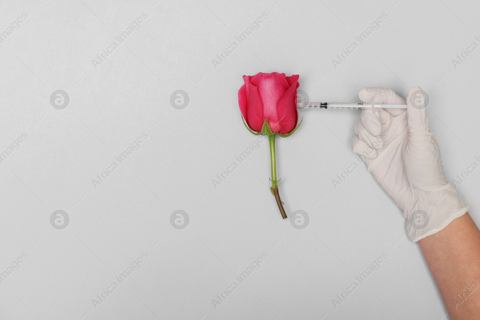 Photo of Doctor making injection to rose on light grey background, top view. Space for text