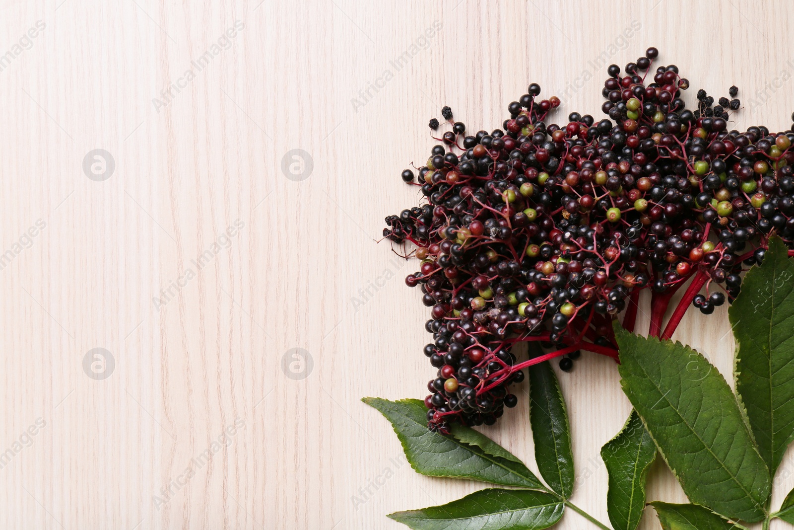 Photo of Tasty elderberries (Sambucus) on wooden table, top view. Space for text