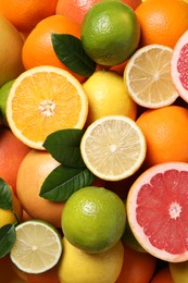 Photo of Different fresh citrus fruits and leaves as background, top view