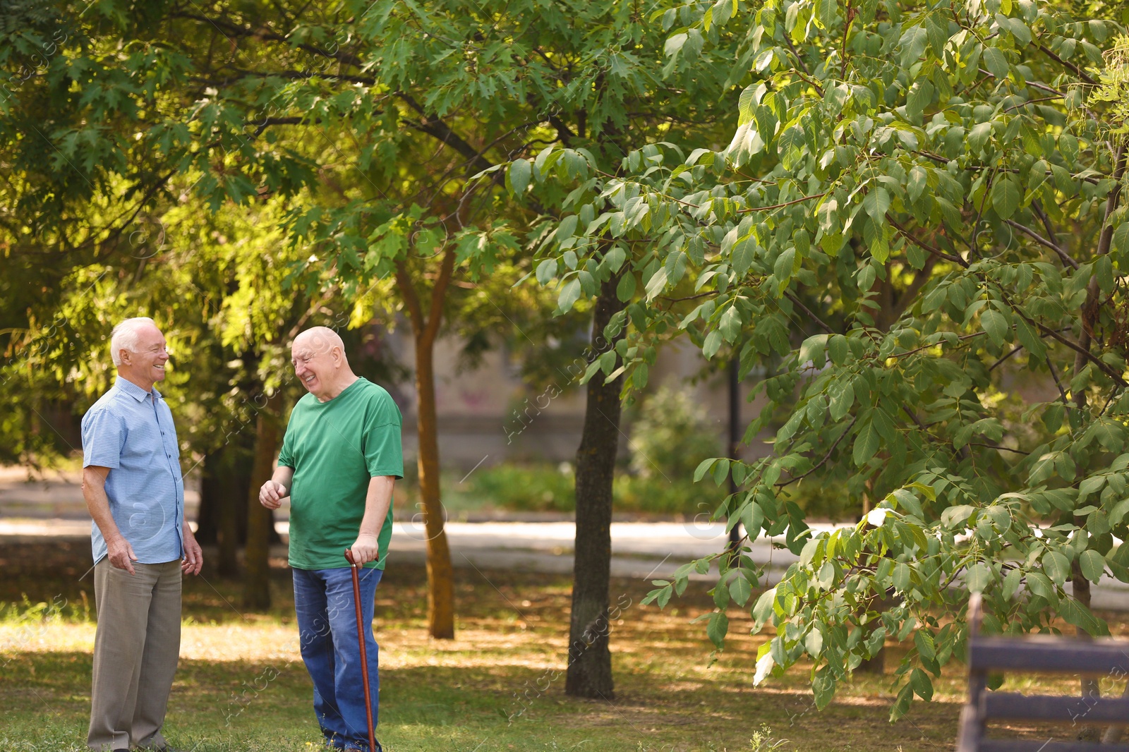 Photo of Elderly men spending time together in park