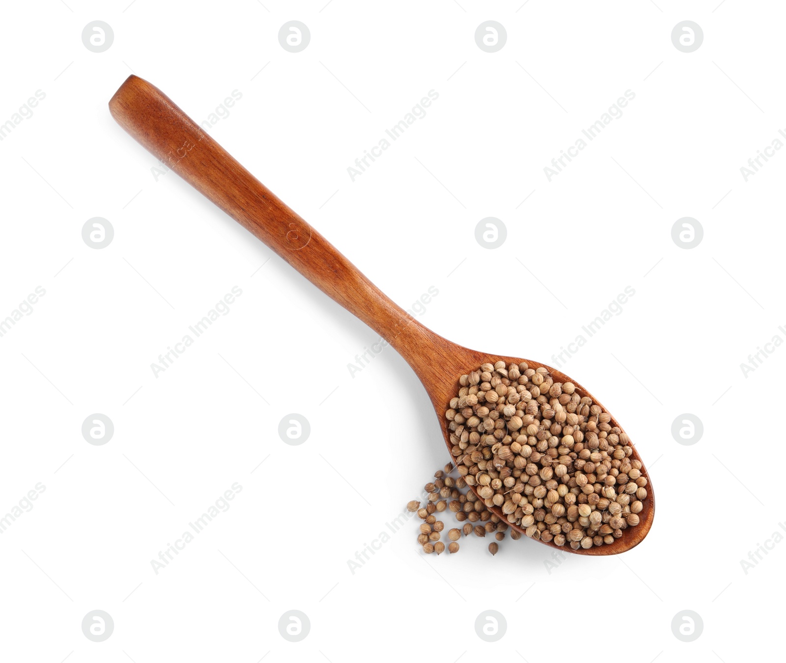 Photo of Dried coriander seeds with wooden spoon on white background, top view