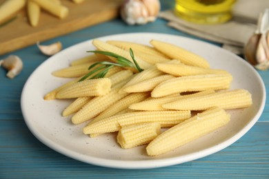 Fresh baby corn cobs on blue wooden table