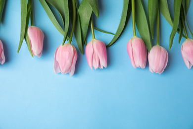 Beautiful pink spring tulips on light blue background, flat lay. Space for text