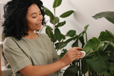 Photo of Happy woman wiping beautiful monstera leaves indoors. Houseplant care