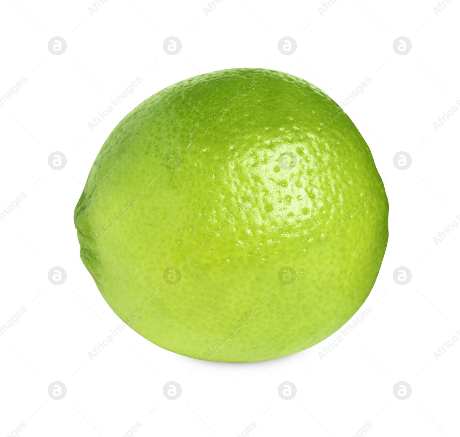 Photo of Citrus fruit. One fresh lime isolated on white