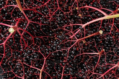 Bunches of ripe elderberries as background, top view