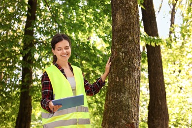 Forester with clipboard examining tree in forest