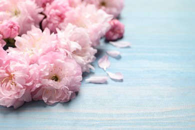 Photo of Beautiful sakura tree blossoms on light blue wooden background, closeup. Space for text
