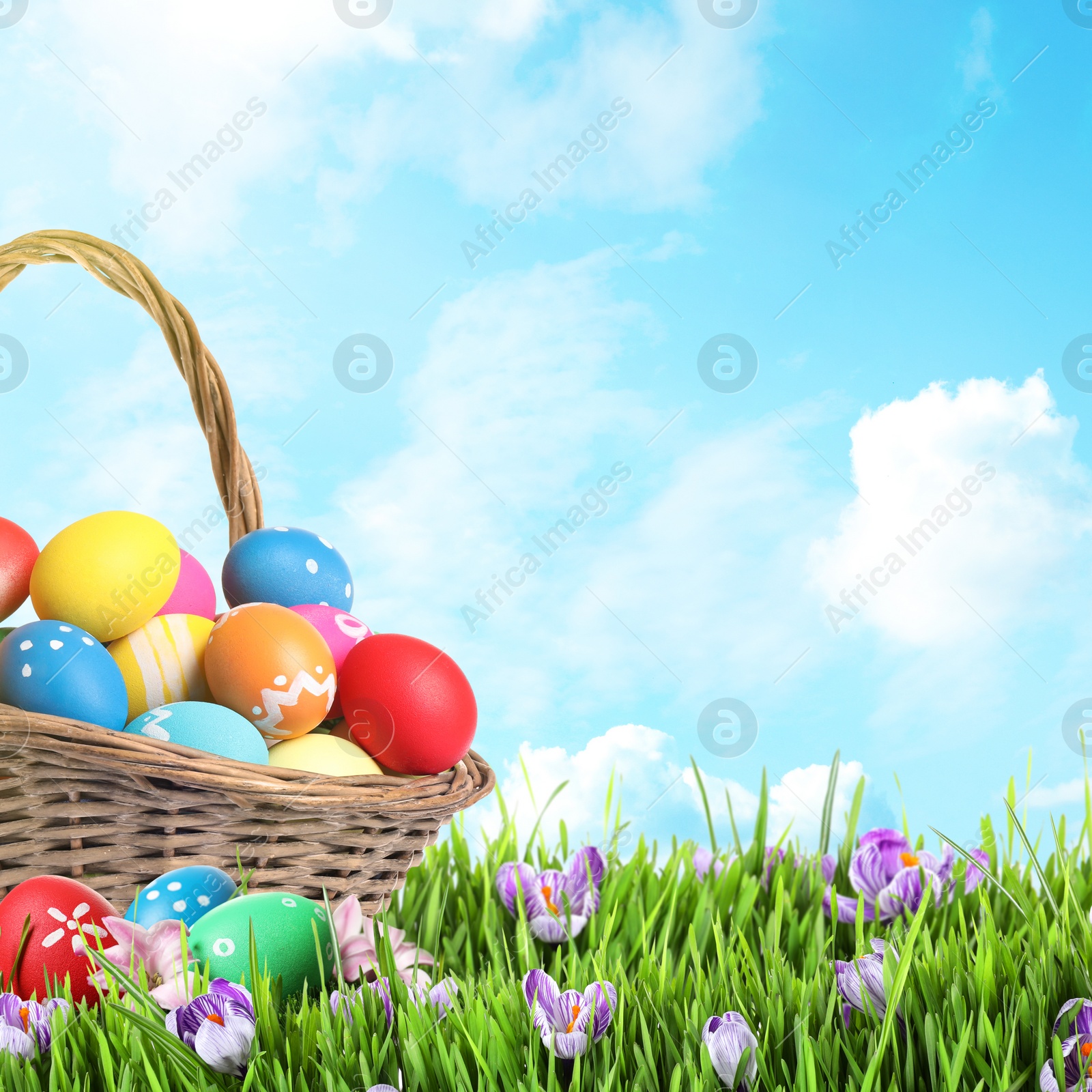 Image of Wicker basket with Easter eggs in green grass against blue sky. Space for text