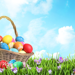 Image of Wicker basket with Easter eggs in green grass against blue sky. Space for text