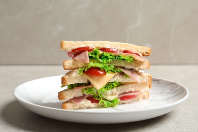 Photo of Tasty toast sandwich on plate. Wheat bread