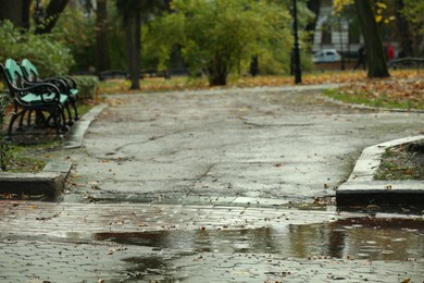 Photo of Autumn park with fallen leaves and puddle on rainy day