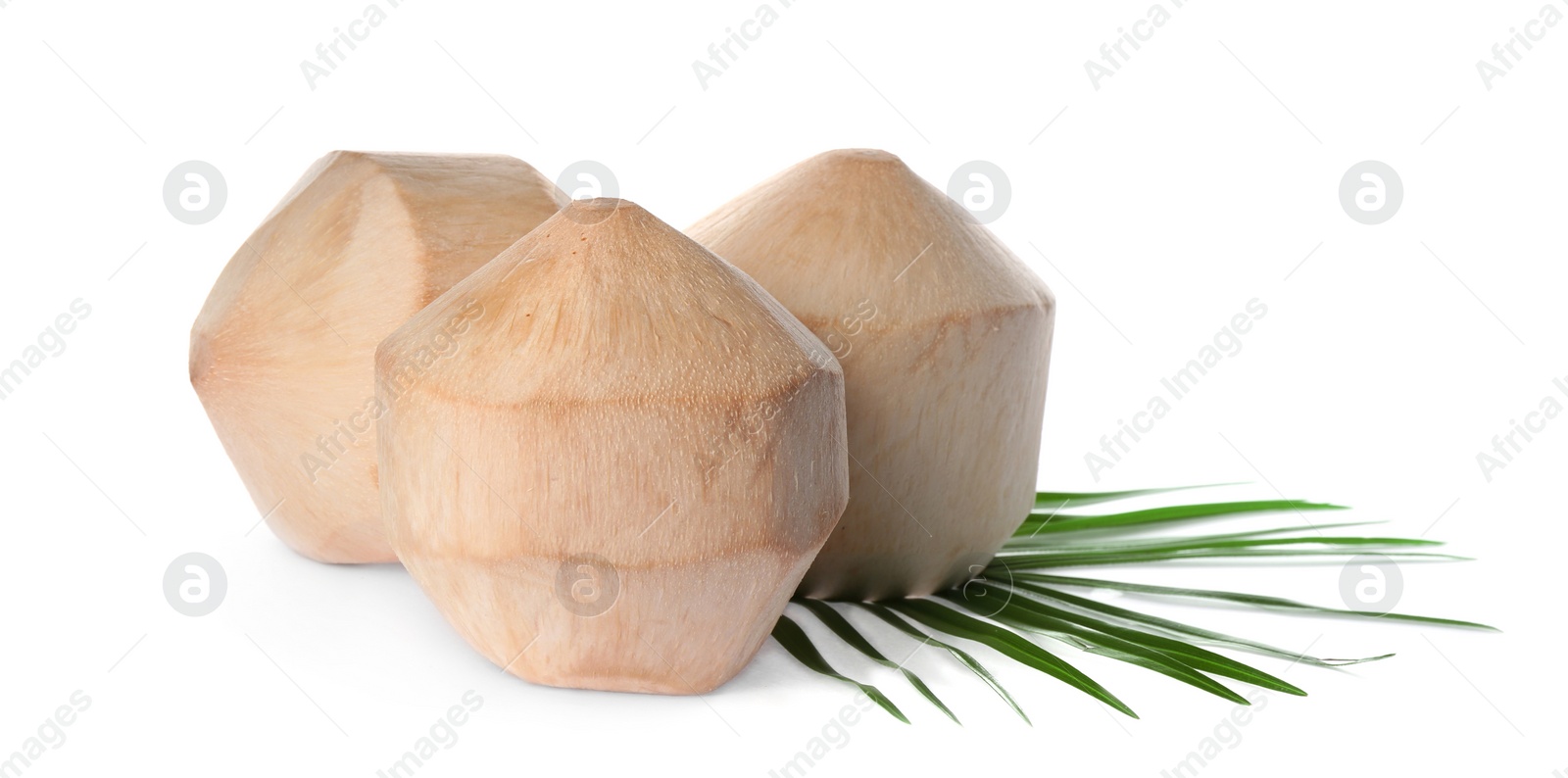 Photo of Young peeled coconuts with palm leaf on white background