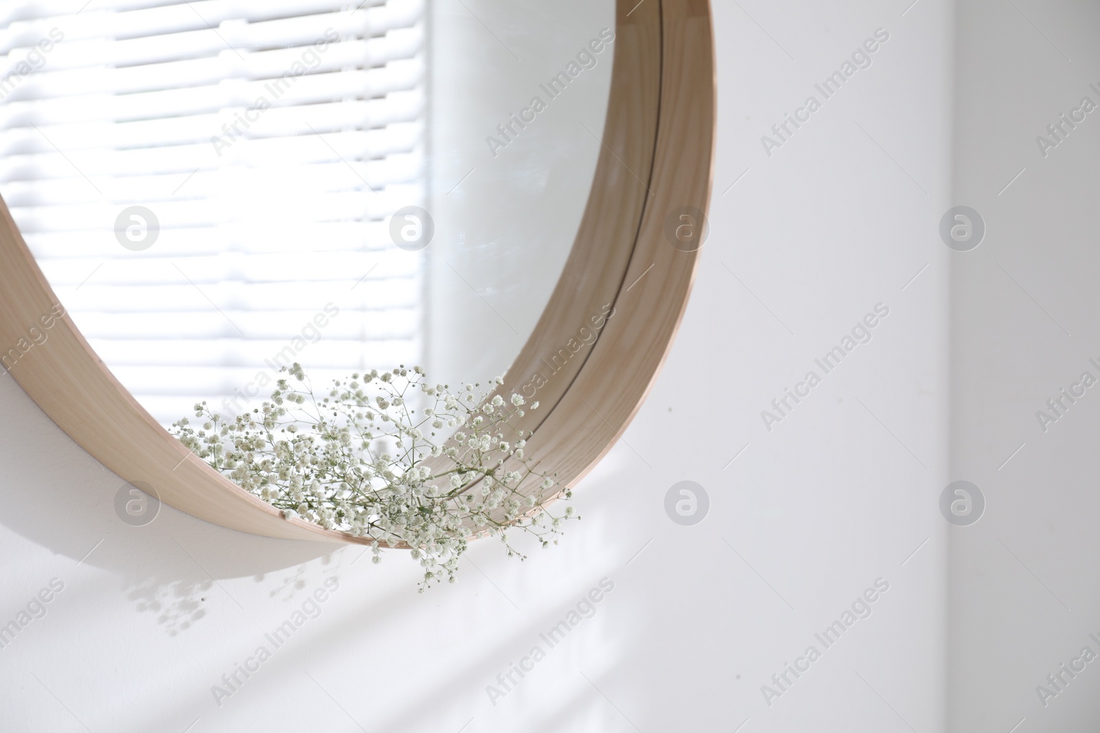 Photo of Beautiful flowers on modern round mirror indoors