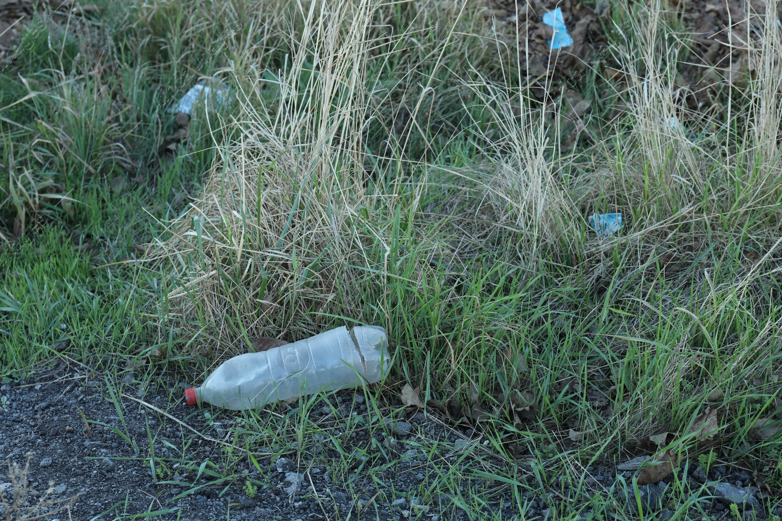 Photo of Used plastic bottle outdoors, space for text. Environmental pollution concept