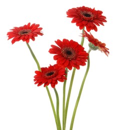 Photo of Bouquet of beautiful red gerbera flowers on white background