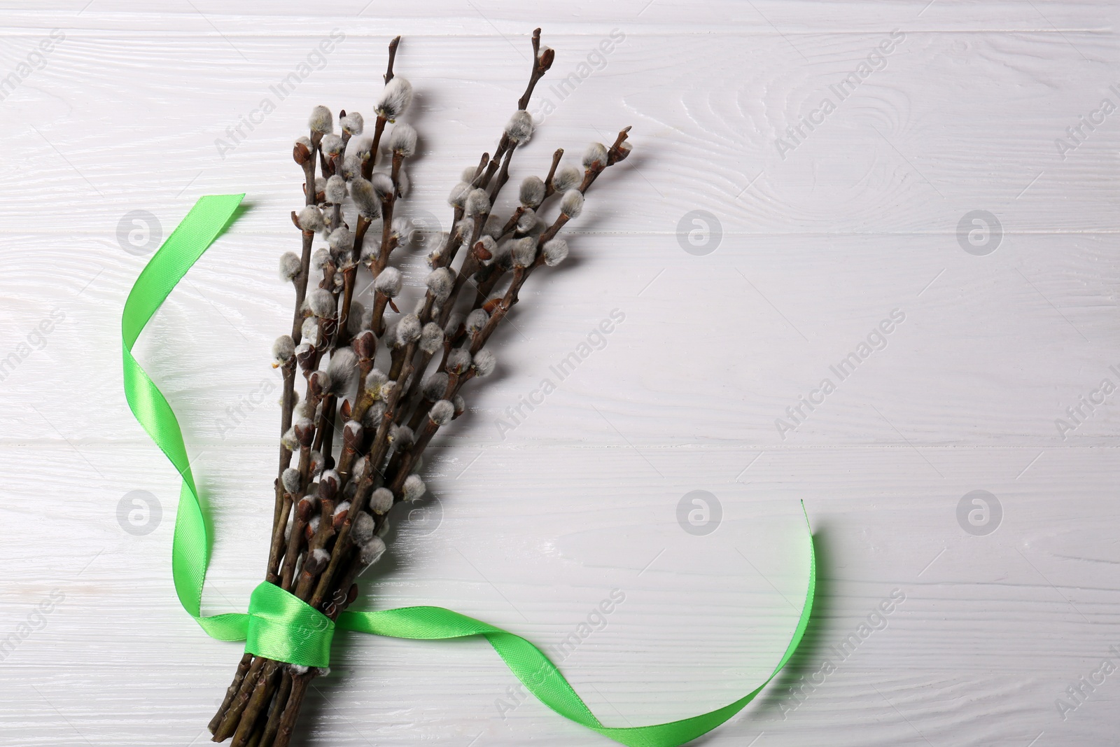 Photo of Beautiful blooming willow branches with green ribbon on white wooden table, top view. Space for text