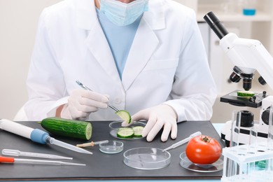 Quality control. Food inspector examining cucumber in laboratory, closeup