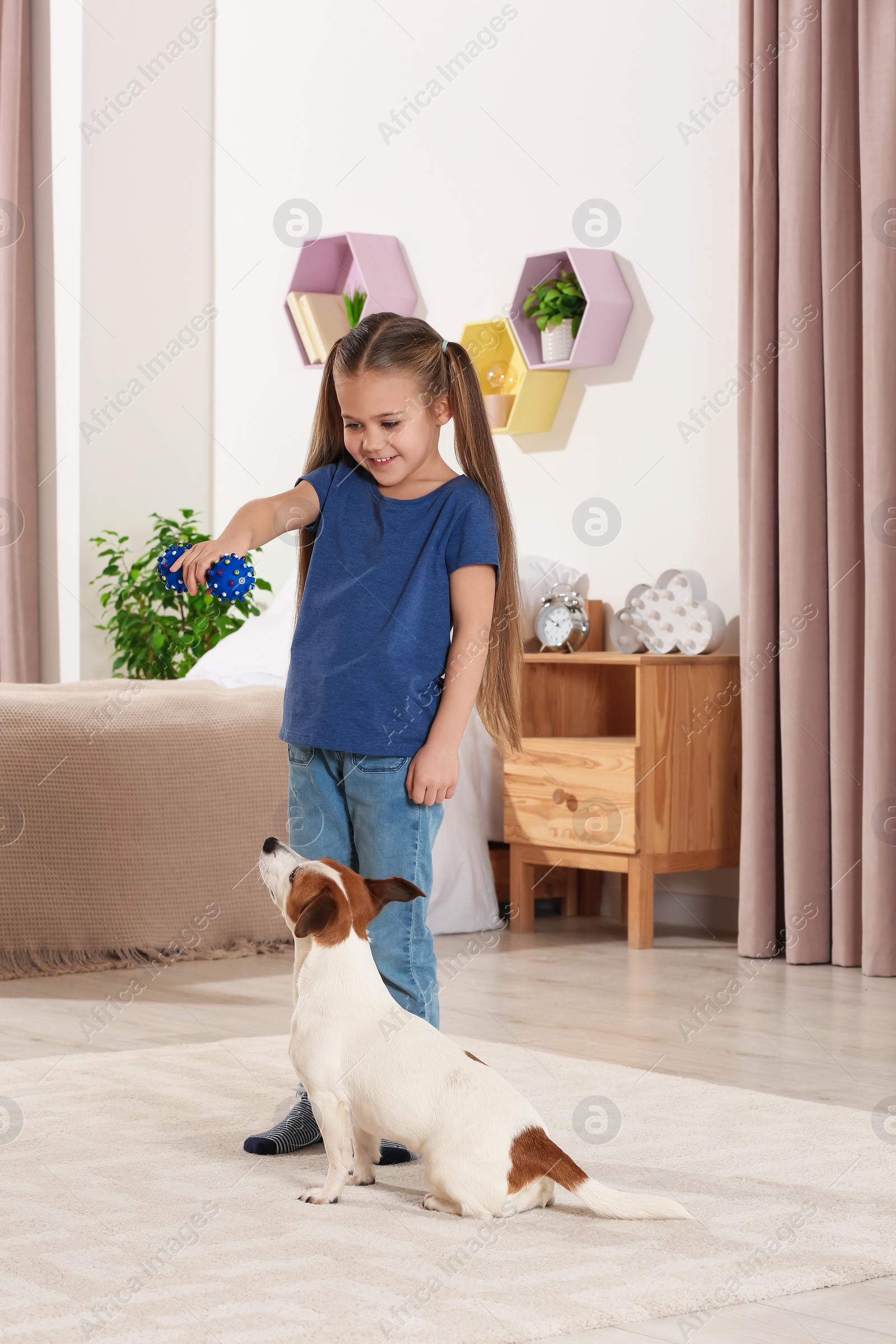 Photo of Cute girl playing with her dog in bedroom at home. Adorable pet