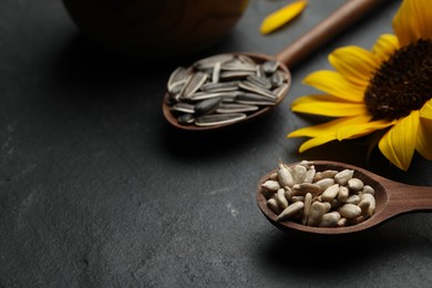 Photo of Raw sunflower seeds and flower on black table, closeup. Space for text