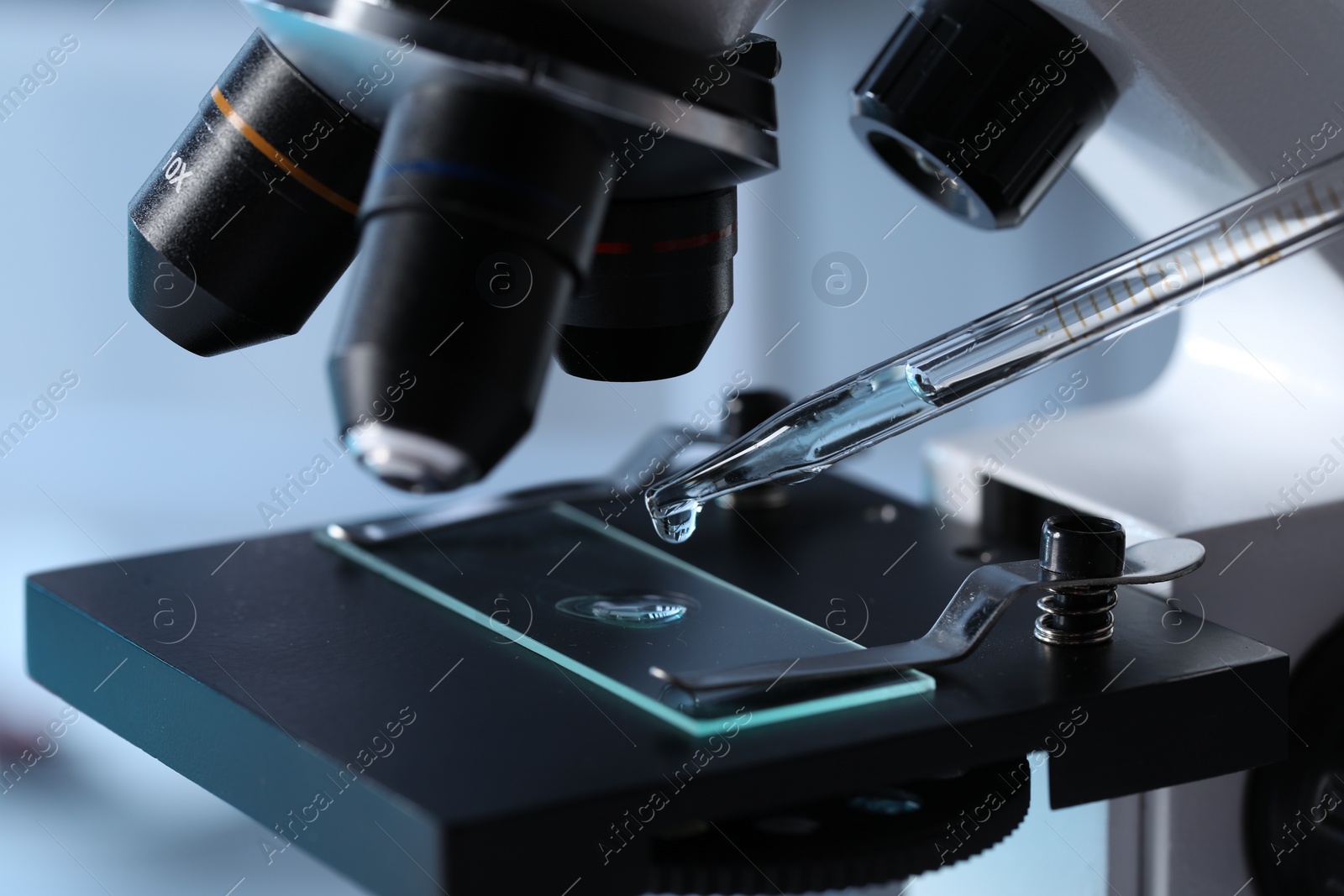 Photo of Dropping light blue liquid from pipette on glass slide in laboratory, closeup