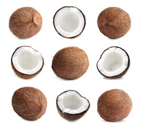 Image of Set with ripe coconuts on white background