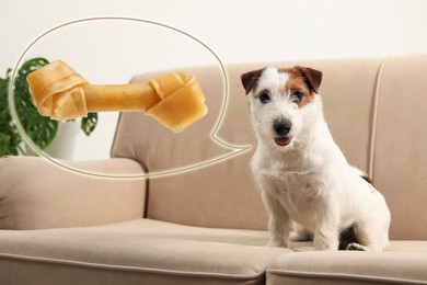 Cute Jack Russell Terrier asking for tasty treat on sofa indoors. Speech bubble with knotted bone