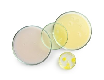 Petri dishes with different liquid samples on white background, top view