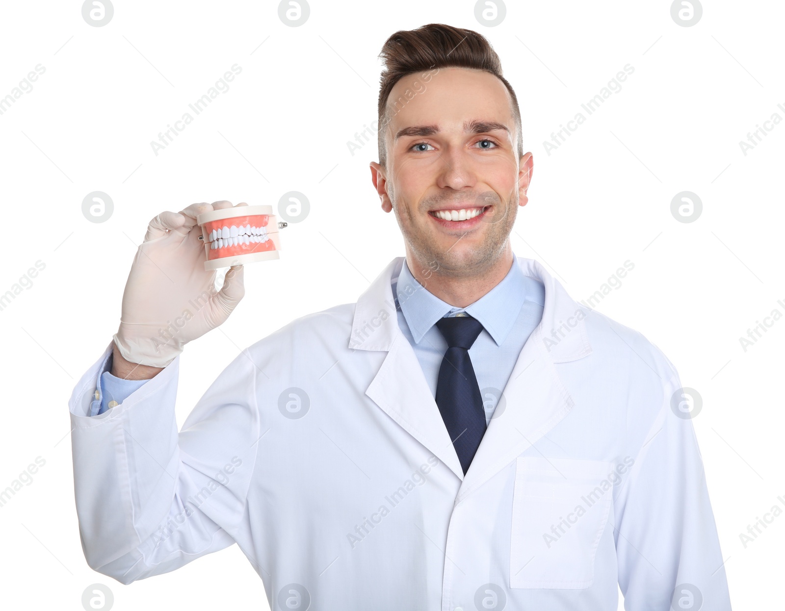 Photo of Male dentist holding model of oral cavity with teeth on white background