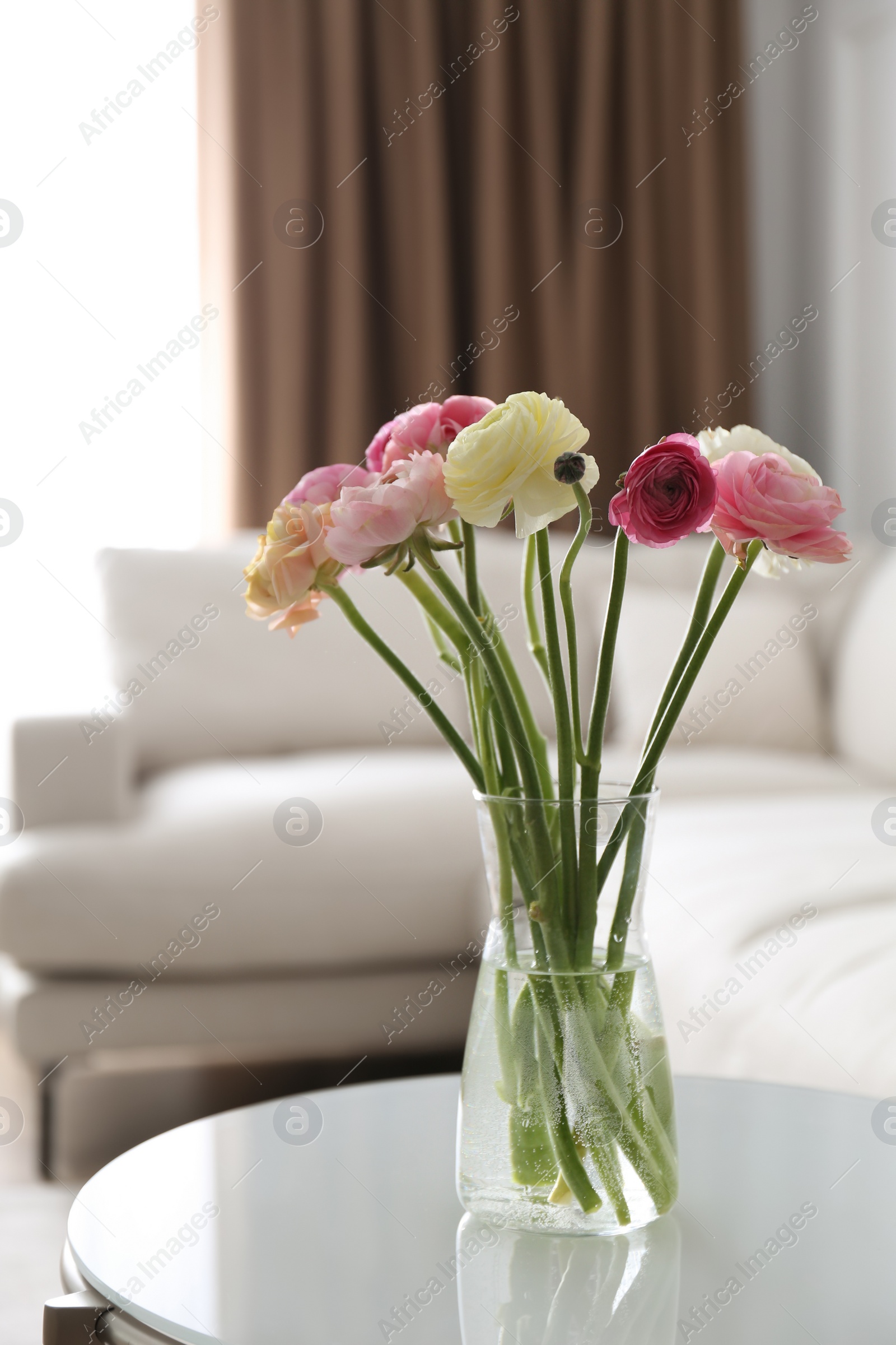 Photo of Beautiful ranunculus flowers on table in living room