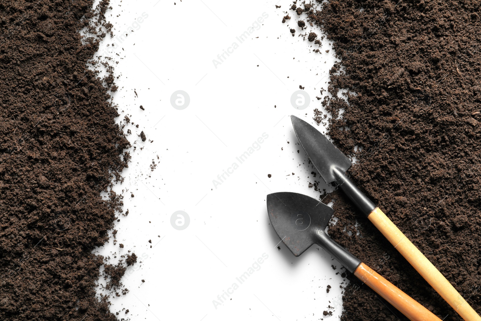 Photo of Flat lay composition with gardening tools and soil on light background