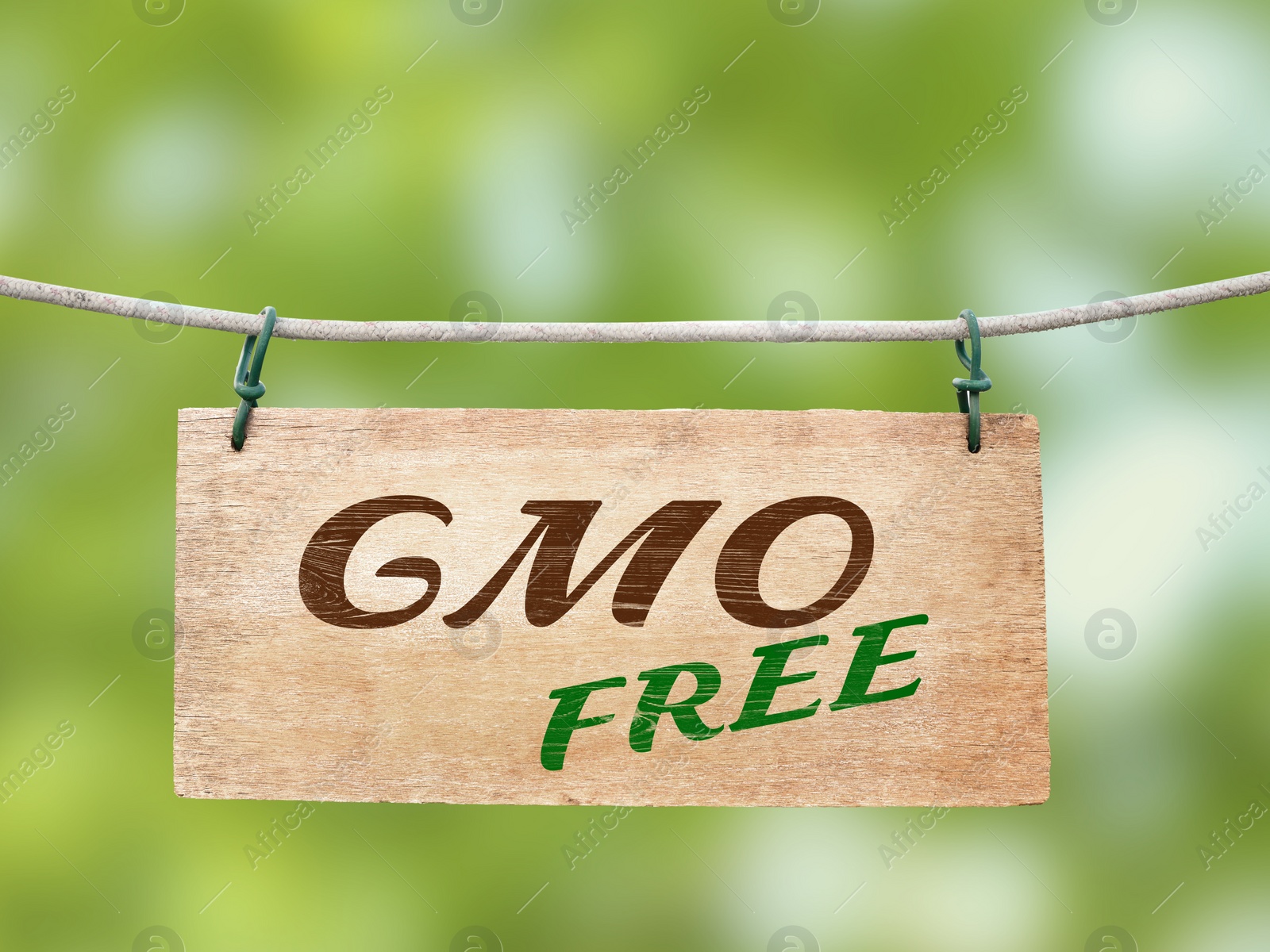 Image of Wooden board with phrase GMO free hanging on rope against blurred green background