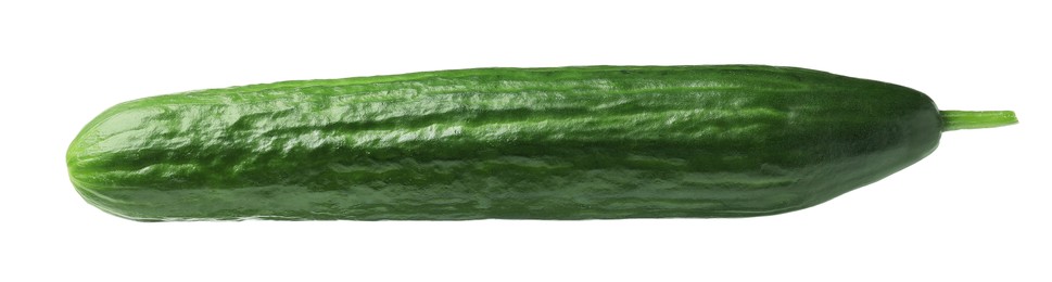 Photo of One long fresh cucumber isolated on white