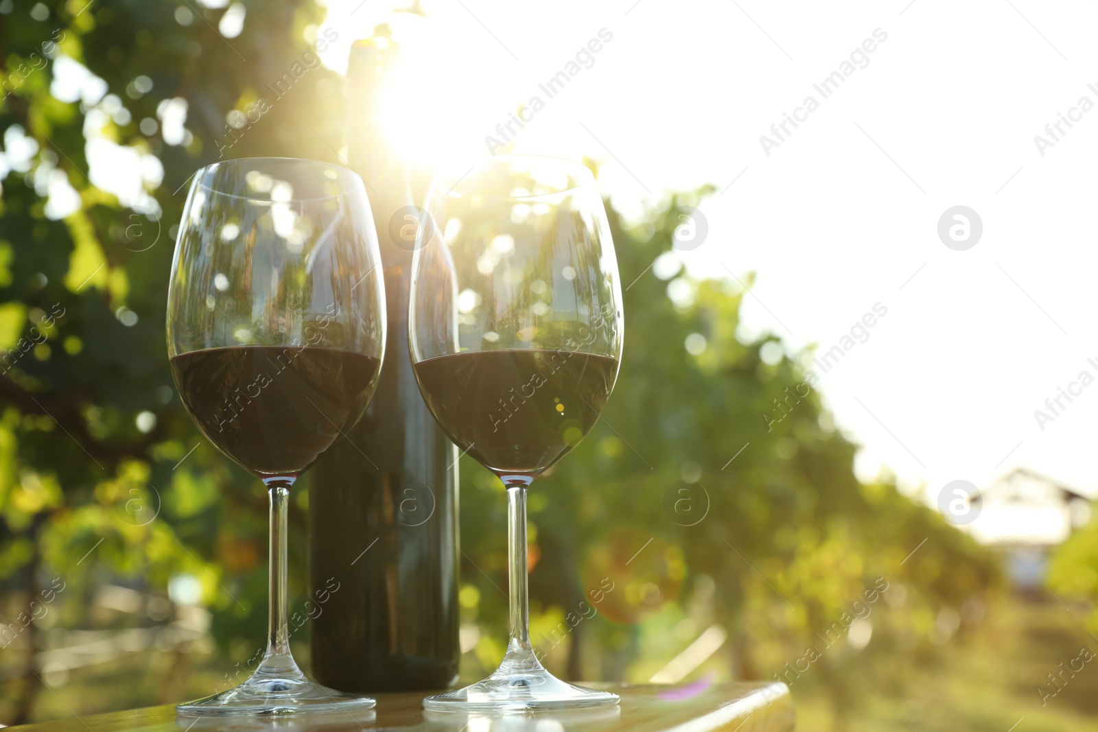 Photo of Bottle of wine and glasses on table in vineyard. Space for text