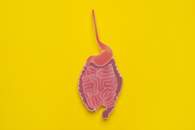 Paper cutout of small intestine on yellow background, top view